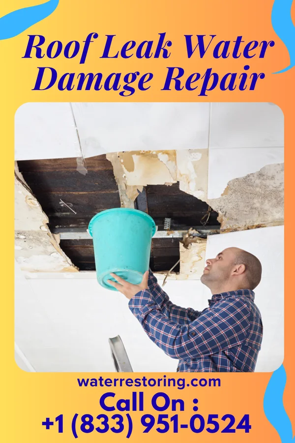 Roof Leak Water Damage Repair in Alpharetta, GA